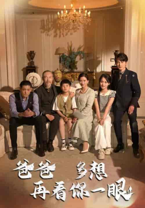 爸爸多想再看你一眼（73集全）林元纬＆魏莱 - 傲图好剧