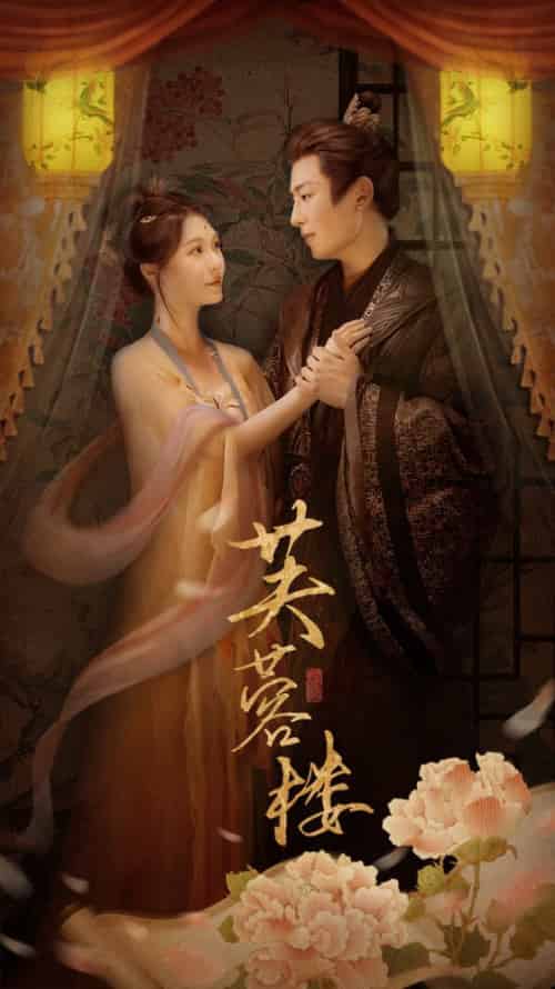 芙蓉楼（50集全）郑晨雨＆星硕