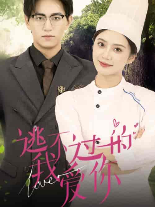 逃不过的我爱你（64集全）刘美娜 - 傲图好剧