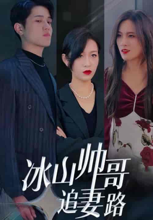冰山帅哥追妻路（100集全）冷夜＆顾清欢 - 傲图好剧