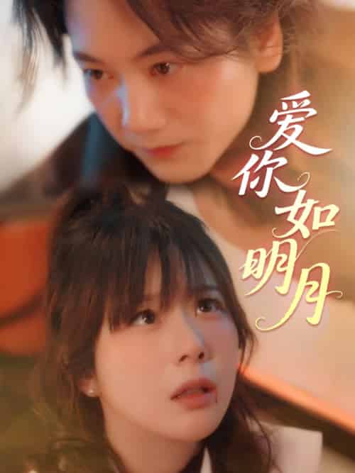 爱你如明月 爱你如明月