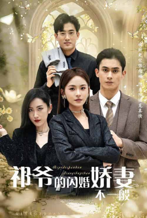 祁爷的闪婚娇妻不一般（60集全） - 傲图好剧