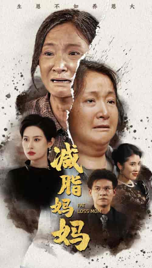 减脂妈妈（71集） - 傲图好剧