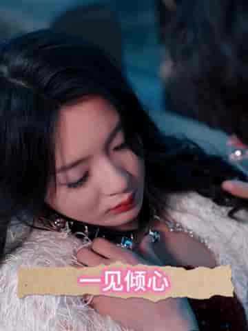 一见倾心（84集） - 傲图好剧