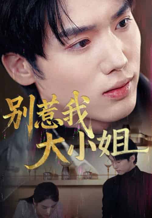 别惹我大小姐（40集全） - 傲图好剧