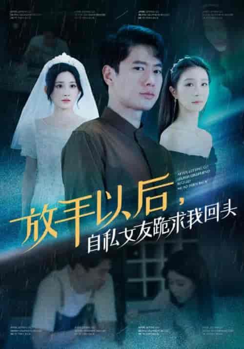 放手以后，自私女友跪求我回头（59集全）陈凡＆王琳 - 傲图好剧