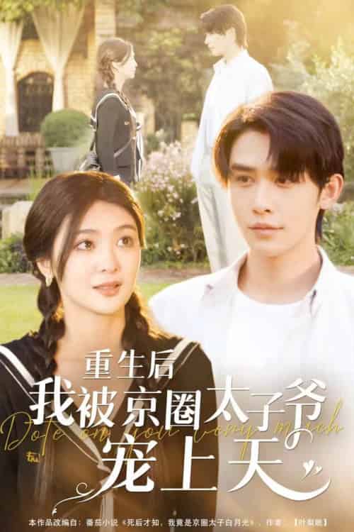 重生后我被京圈太子爷宠上天（78集全）申浩男＆钟熙 - 傲图好剧