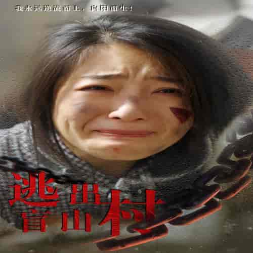 逃出盲山村（48集全） - 傲图好剧