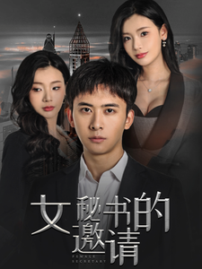 女秘书的邀请（30集全）王星辰 - 傲图好剧