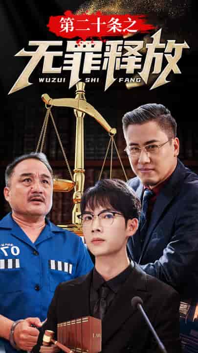 第二十条之无罪释放（76集） - 傲图好剧