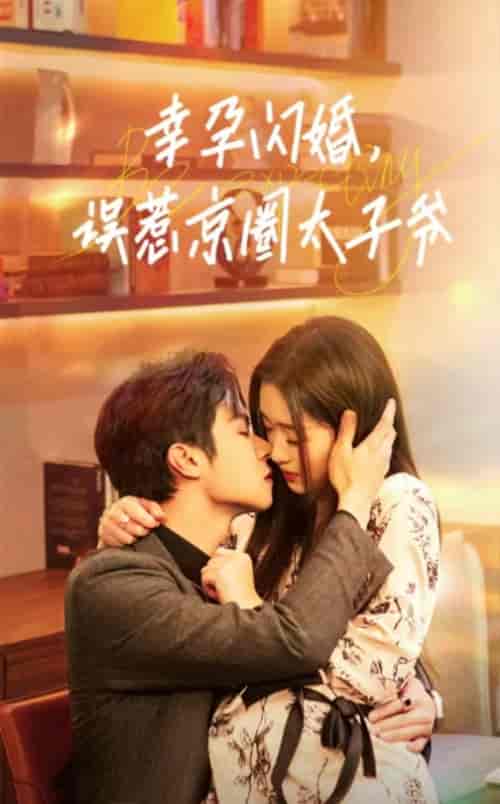 幸孕闪婚，误惹京圈太子爷（41集全） - 傲图好剧