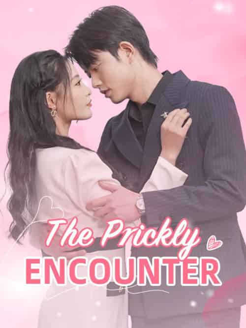 The Prickly Encounter The Prickly Encounter
