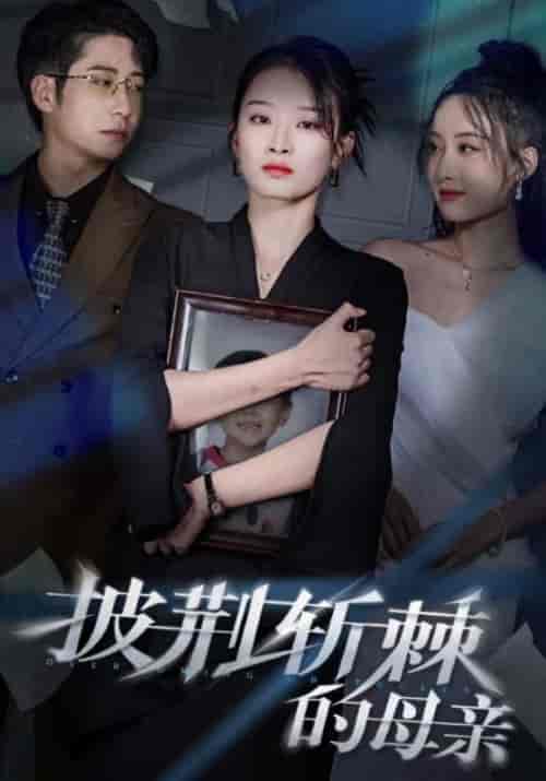 披荆斩棘的母亲＆儿子死后绝望妈妈杀翻全场 （41集全）周航＆韩佳卉 - 傲图好剧