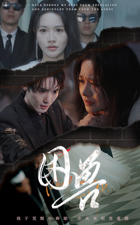 困兽（31集全）曹千祎 - 傲图好剧