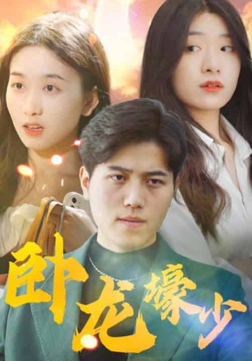 卧龙壕少（58集全）郑枫＆文雪 - 傲图好剧