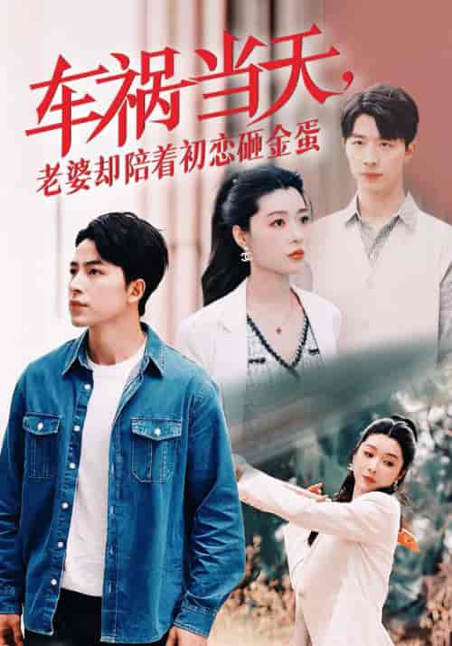 车祸当天老婆却陪着初恋砸金蛋（46集全）吴昊 - 傲图好剧