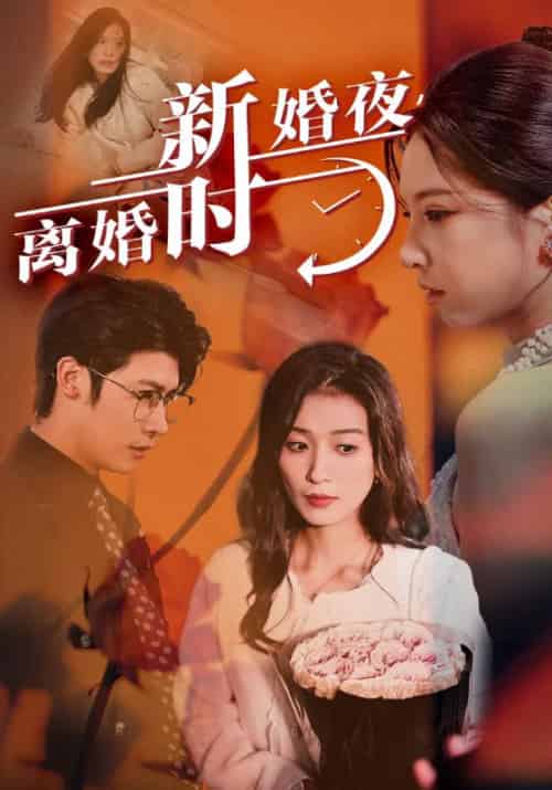 新婚夜，离婚时（35集全）江天宇＆江天颖 - 傲图好剧