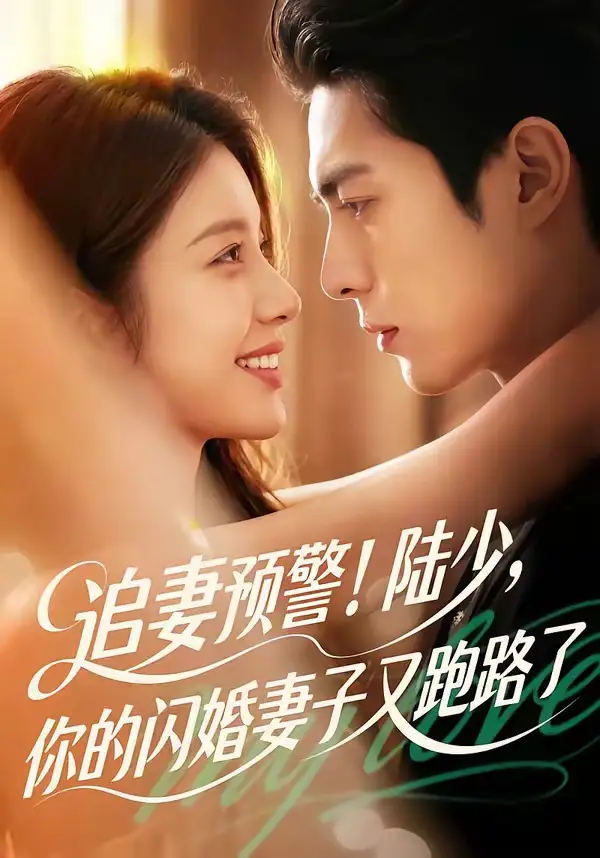 追妻预警陆少你的闪婚妻子又跑路了（102集）
