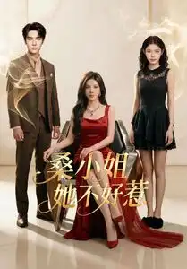桑小姐她不好惹（103集）