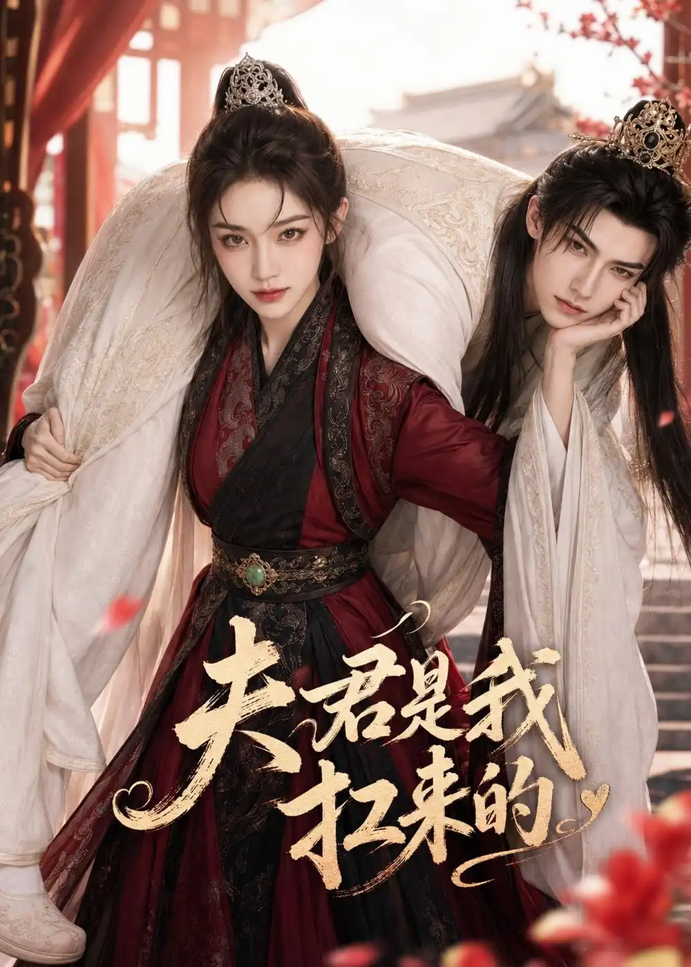夫君是我扛来的（20集）