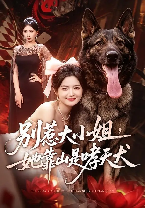 别惹大小姐她靠山是哮天犬（86集）常珂欣＆刘继泽