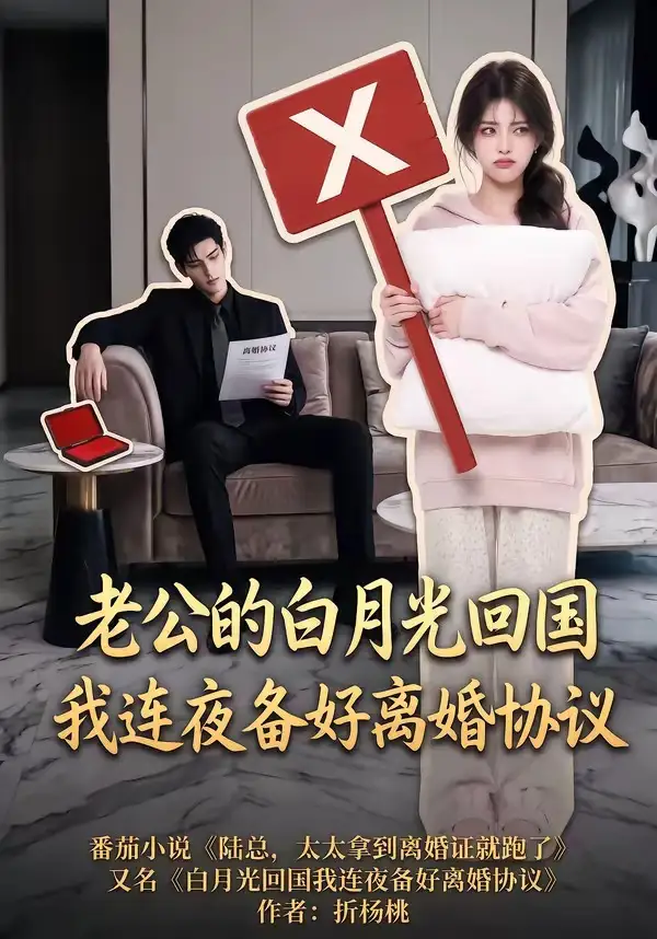 老公的白月光回国我连夜备好离婚协议（100集）