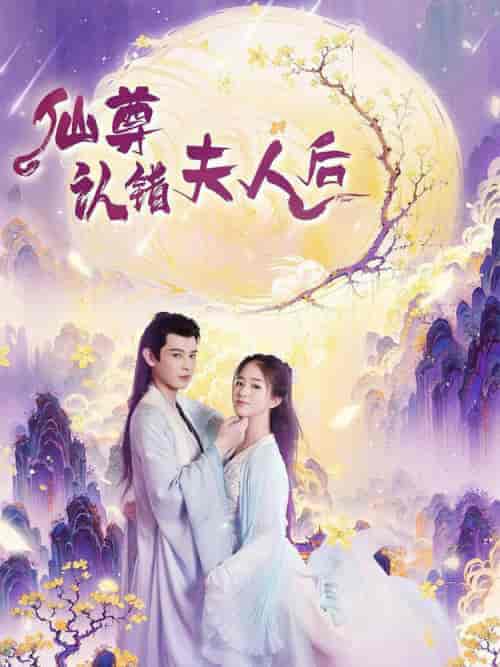 仙尊认错夫人后（64集全）张灿 - 傲图好剧