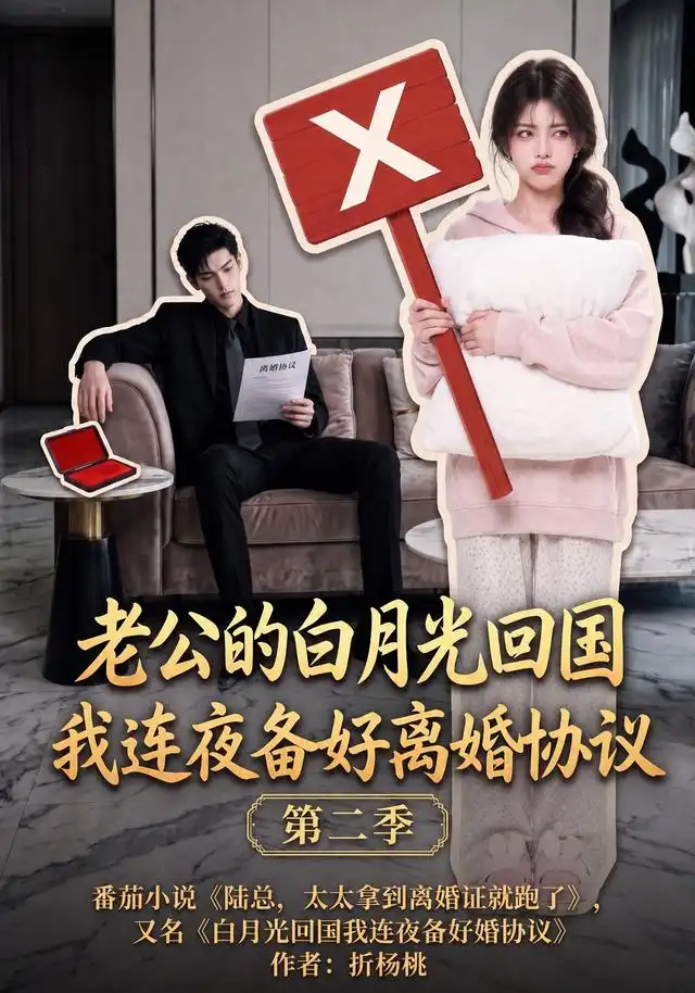 老公的白月光回国我连夜备好离婚协议第二季（165集）