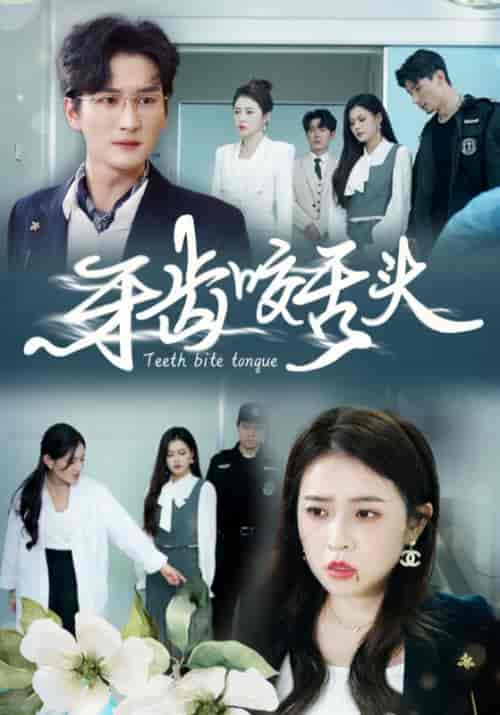 牙齿咬舌头＆错打婆婆我悔不当初（35集全） - 傲图好剧