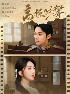 高枝难攀（80集全）张屹杨＆丁果 - 傲图好剧