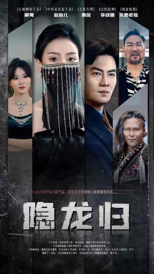 隐龙归（80集） - 傲图好剧