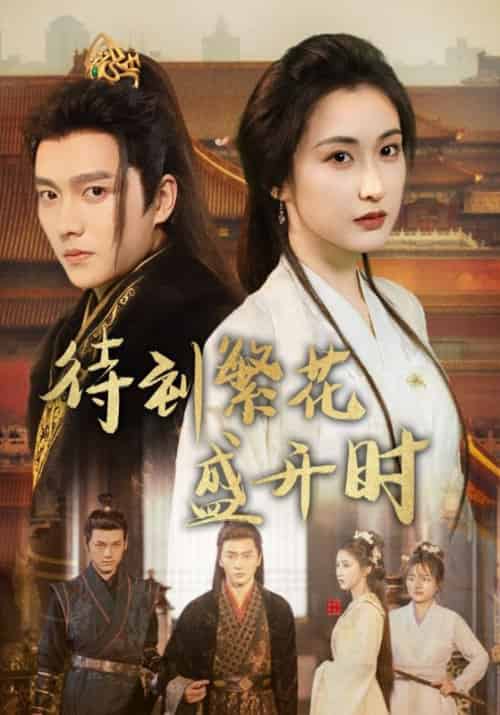 待到繁花盛开时（34集全）桓九渊＆季希 - 傲图好剧
