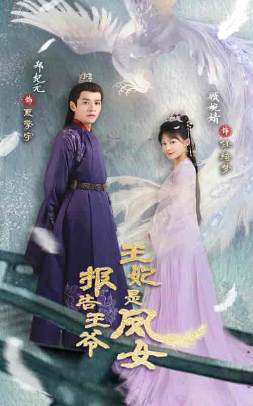 报告王爷王妃是凤女（78集）