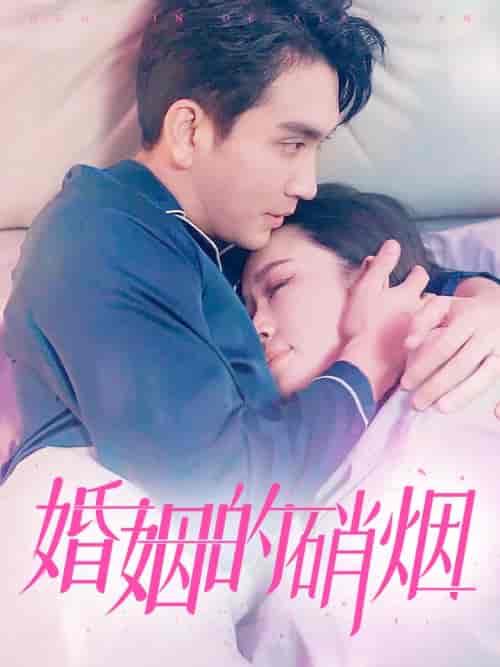 婚姻的硝烟（97集） - 傲图好剧