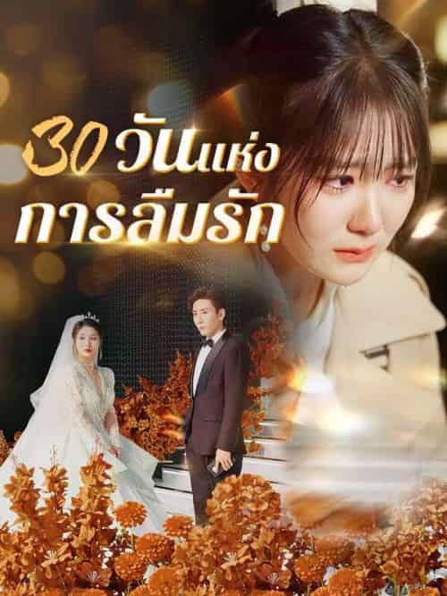 30 วันแห่งการลืมรัก 30 วันแห่งการลืมรัก