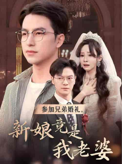 参加兄弟婚礼，新娘竟是我老婆（40集全）安娜 - 傲图好剧