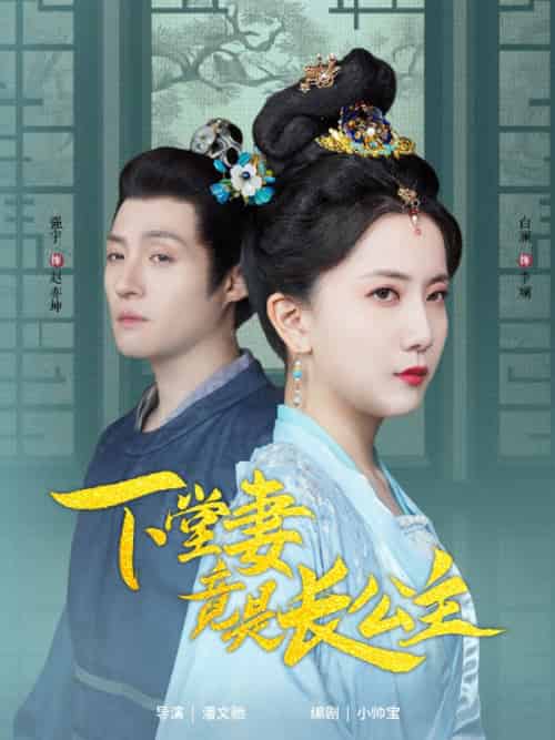 下堂妻竟是长公主（74集全） - 傲图好剧