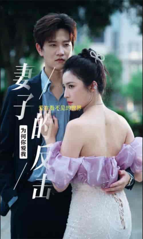 新版：妻子的反击（38集） - 傲图好剧
