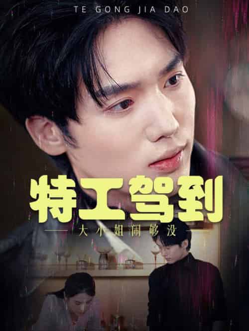 特工驾到大小姐别闹了（40集全）韩江宇 - 傲图好剧
