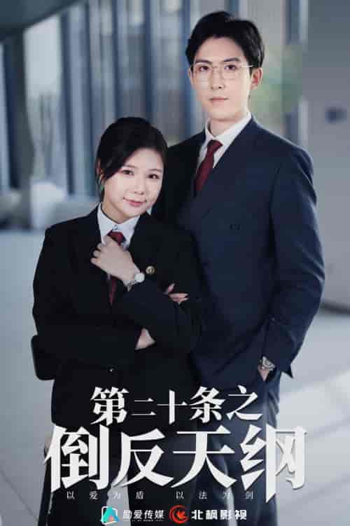 第二十条之倒反天纲 第二十条之倒反天纲