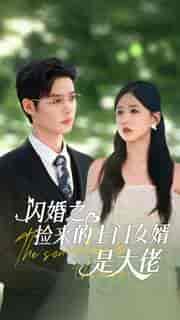 闪婚之捡来的上门女婿是大佬 闪婚之捡来的上门女婿是大佬
