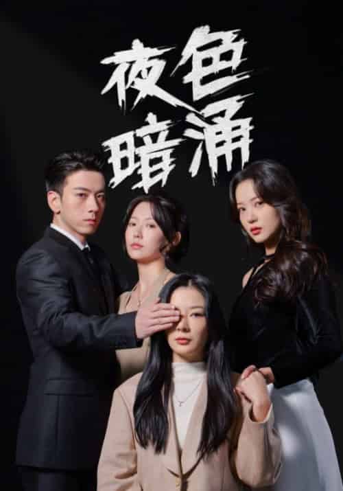 夜色暗涌（48集全）秦令＆苏言 - 傲图好剧