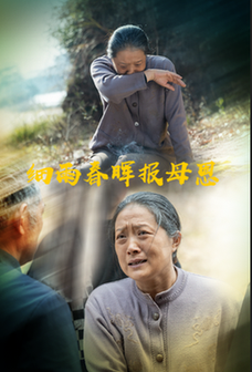 细雨春晖报母恩（30集全）周婷＆夏家顺 - 傲图好剧