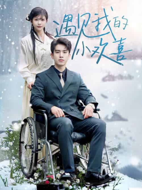 遇见我的小欢喜（70集全）阮俊杰＆毛丽婷 - 傲图好剧