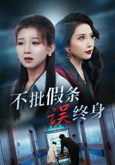 不批假条误终身（29集全） - 傲图好剧
