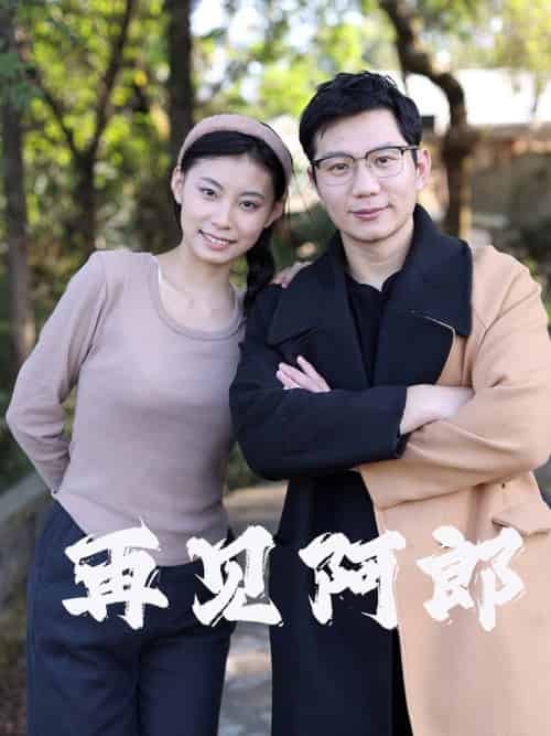 再见阿郎（23集全） - 傲图好剧