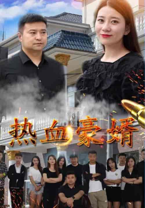 热血豪婿 热血豪婿