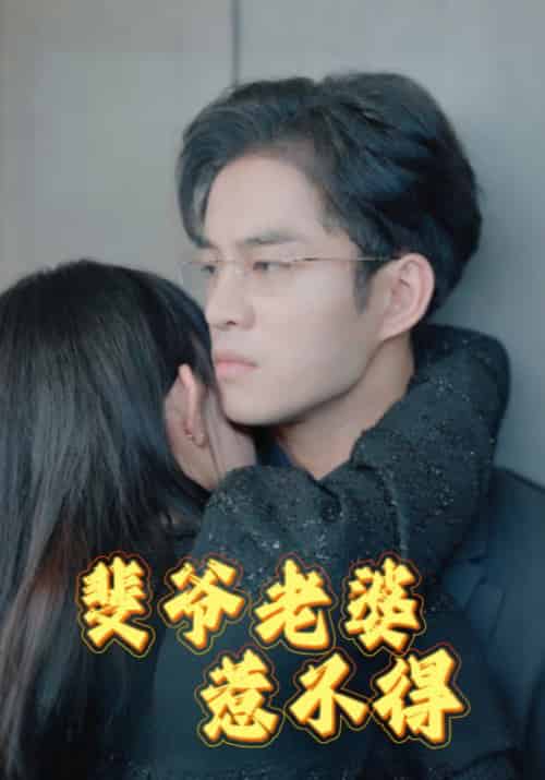 斐爷老婆惹不得（94集全）裴景行＆江来 - 傲图好剧