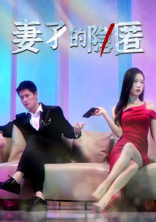 妻子的隐匿（73集全）赵光年＆潘娜娜 - 傲图好剧