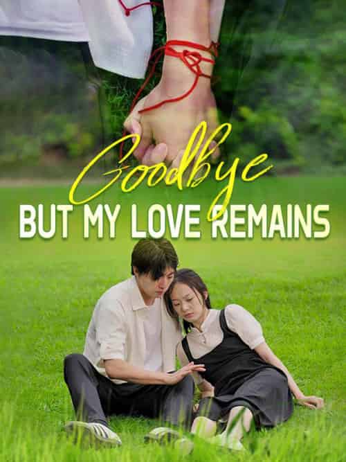 Goodbye, But My Love Remains（45集全）Dylan＆Levin＆＆Grace＆Aston - 傲图好剧